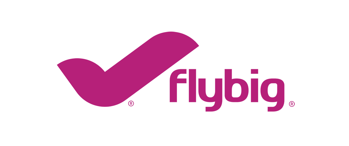 Fly Big Logo